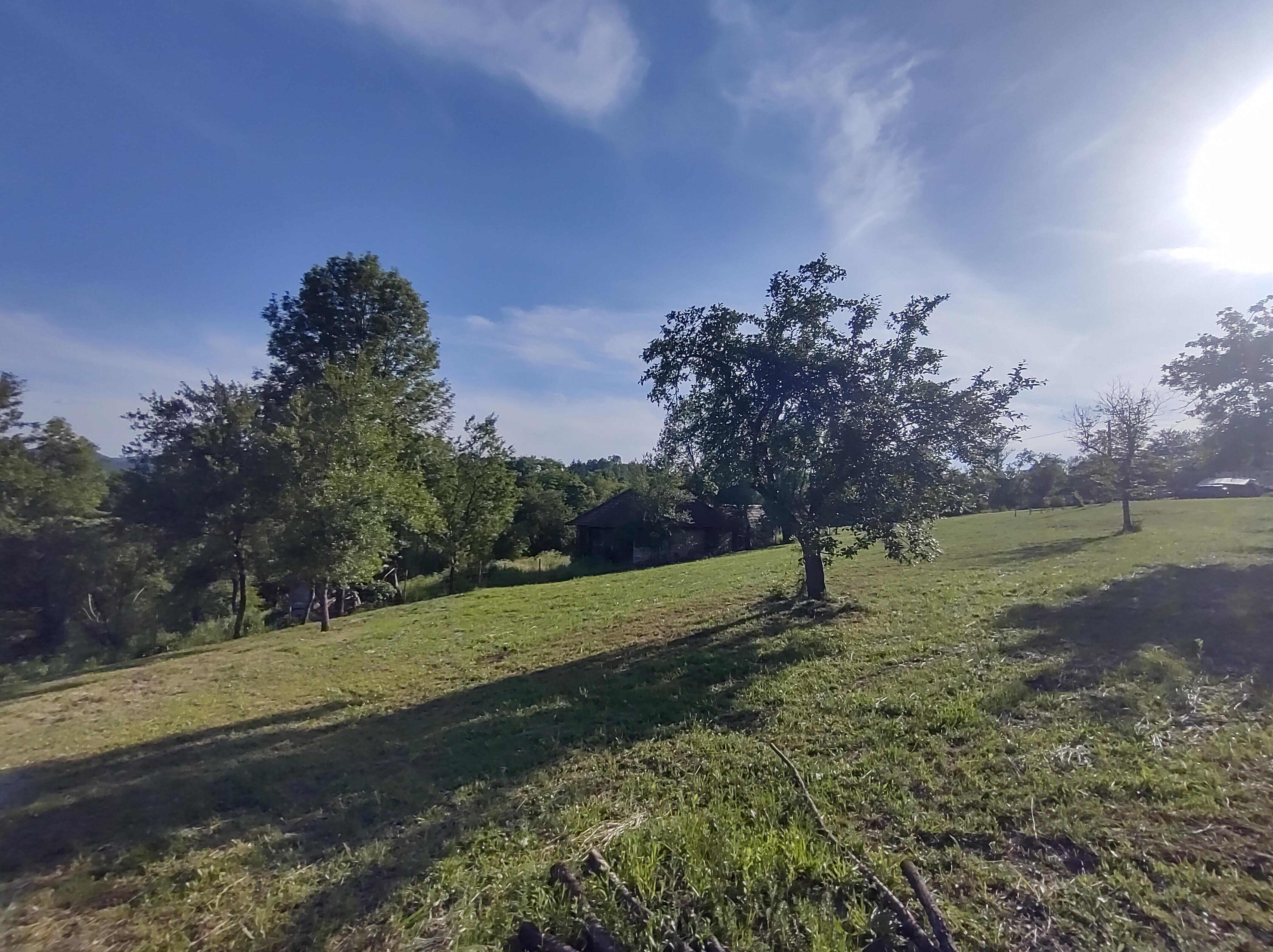 Camping area